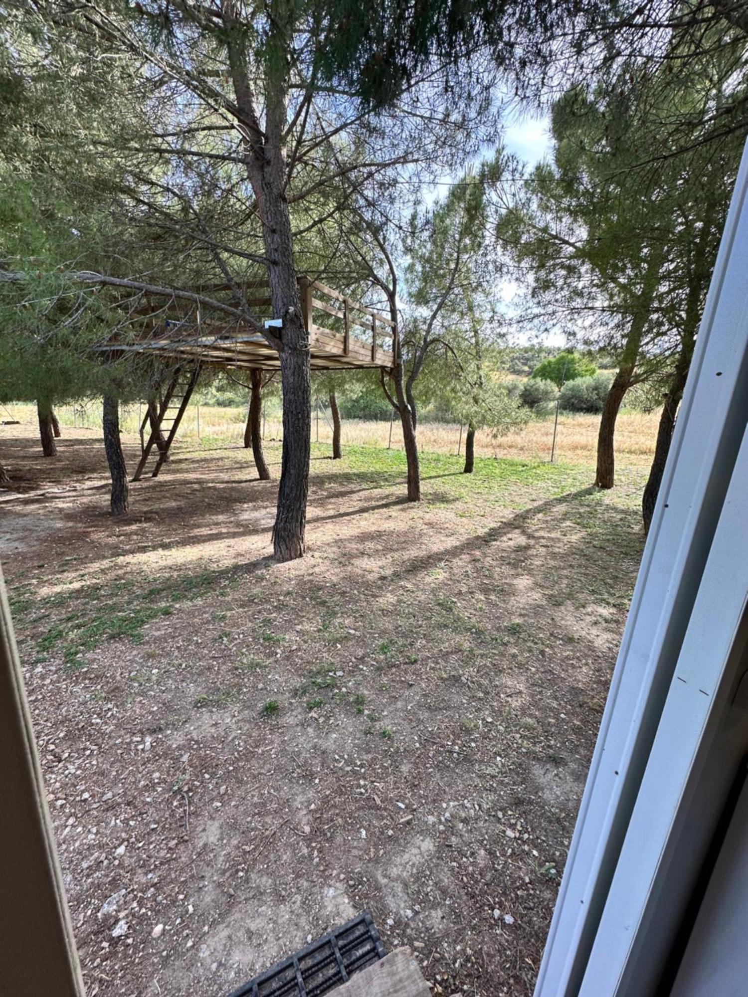 Bungalow Infanta Torrelaguna Exterior foto